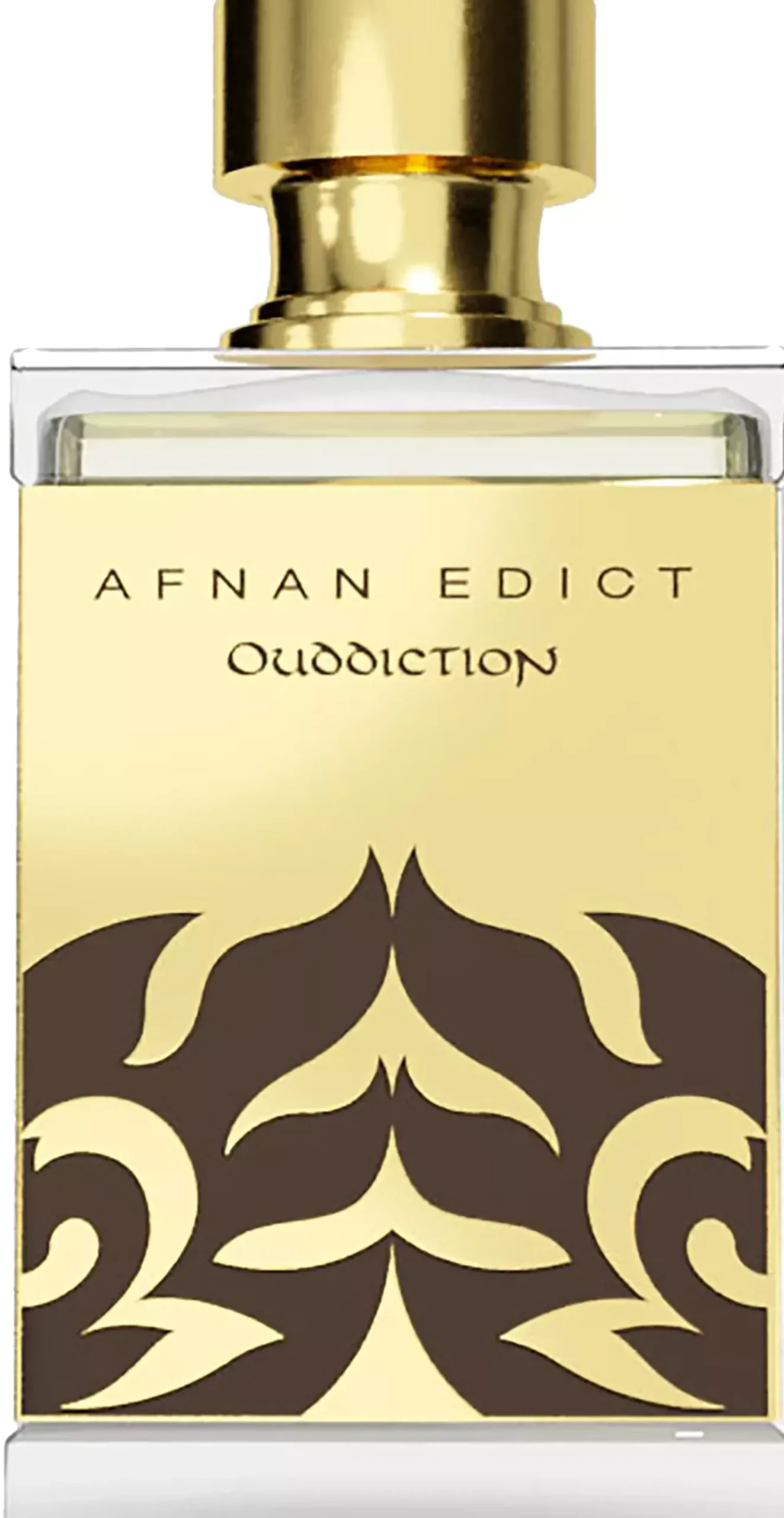 Afnan Perfumes Edict Ouddiction Extrait de Parfum 80 ml
