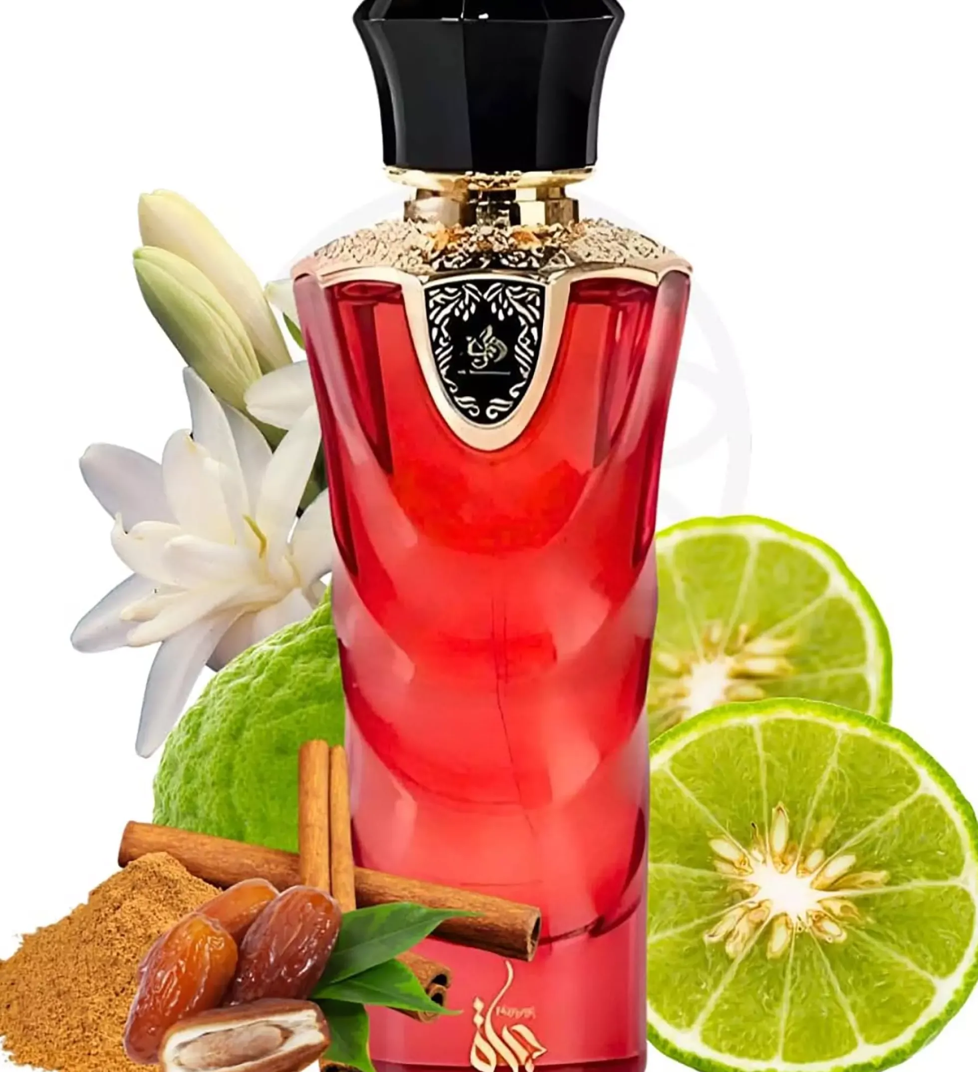 Al Wataniah Hayat Eau de Parfum 100 ml