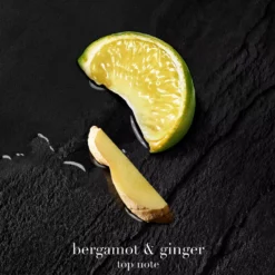 ArmaniAcqua di Giò Parfum 30 ml
