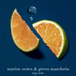 ArmaniAcqua di Giò Profondo Eau de Parfum 50 ml