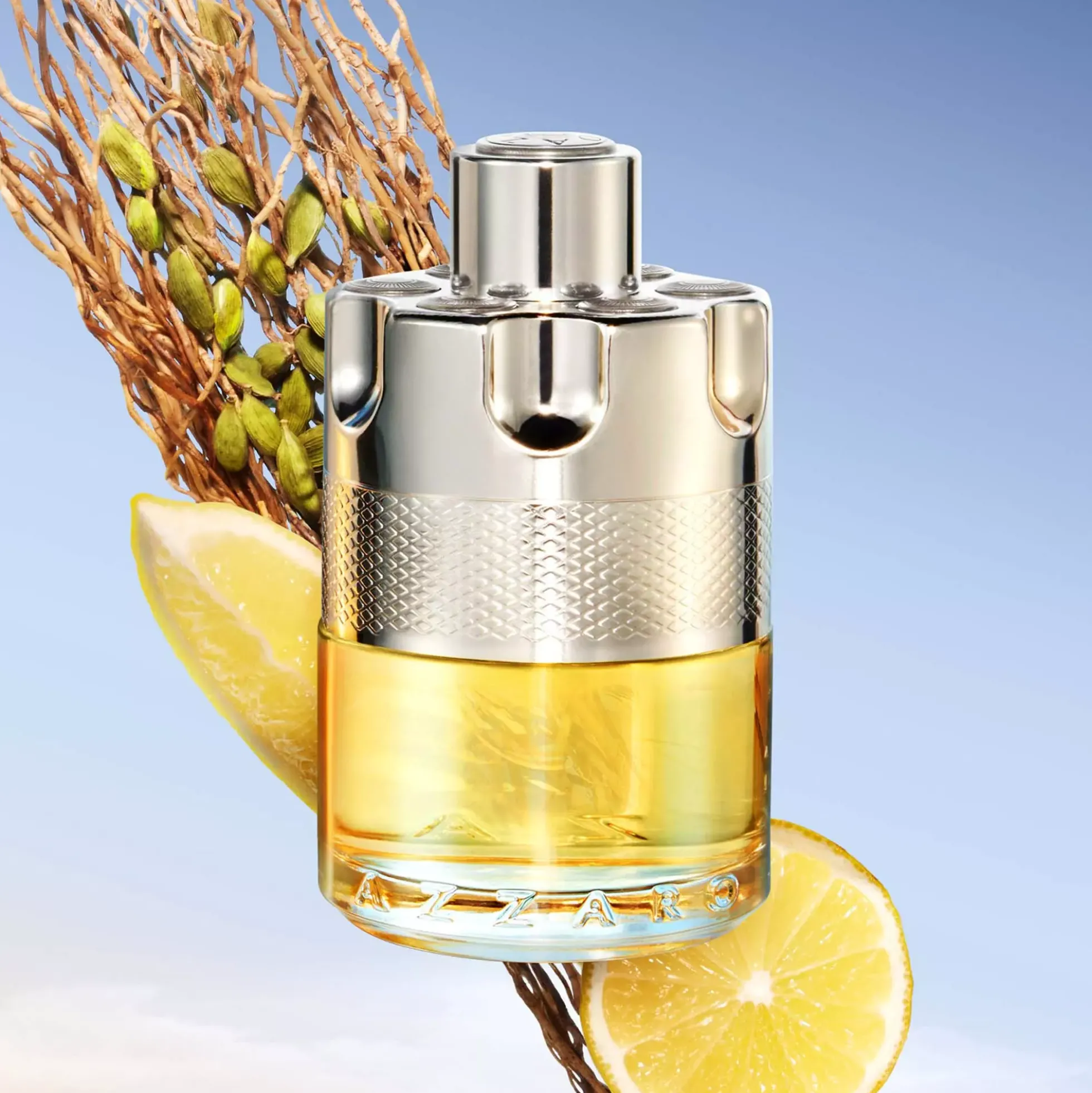 Azzaro Wanted Eau de Toilette 50 ml