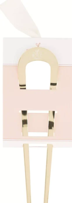 BACHCA Metal chignon pic