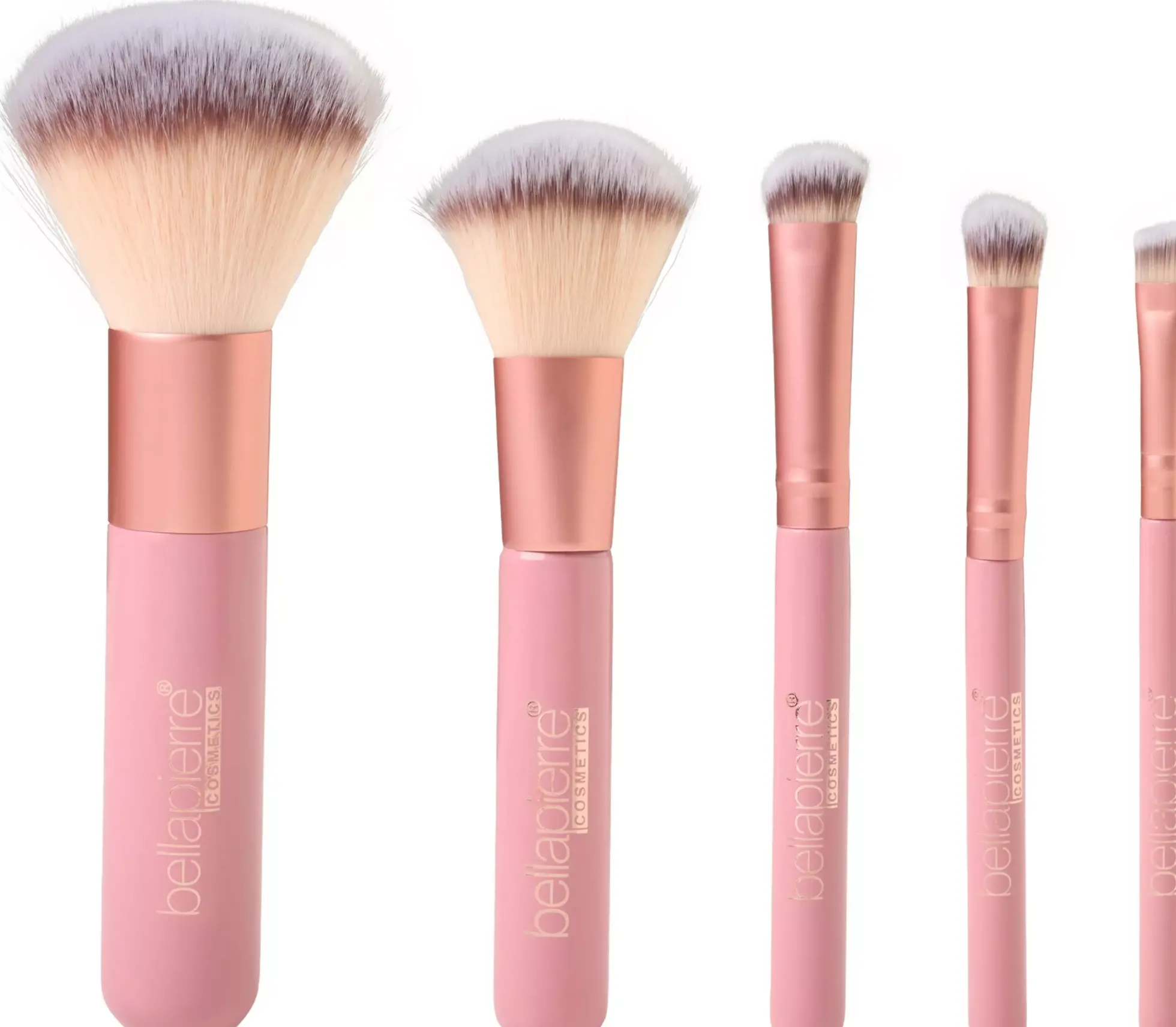 BellaPierre Travel Brush Set
