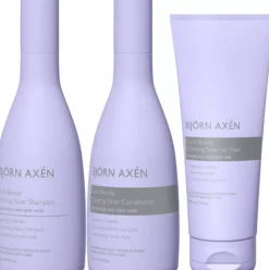 Björn AxénRepair Cool Blonde Coloring Silver Trio