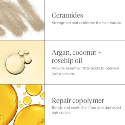 BriogeoDon't Despair, Repair!™ Moisture + Damage Defense Leave-In Treatment