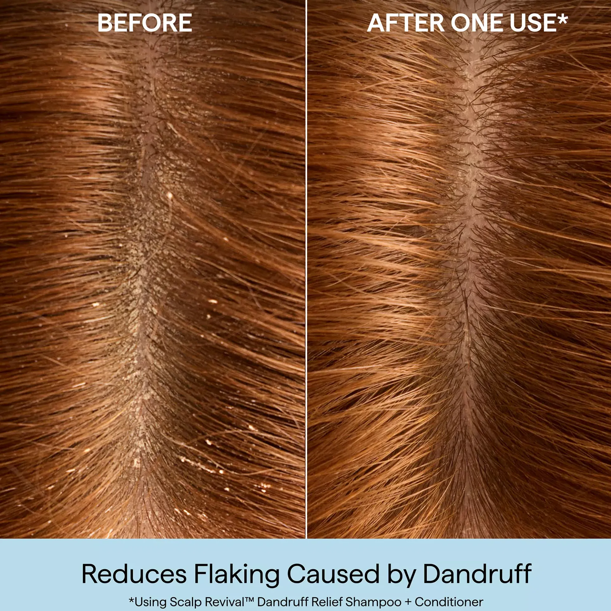 BriogeoScalp Revival™ Dandruff Relief Conditioner 248 ml