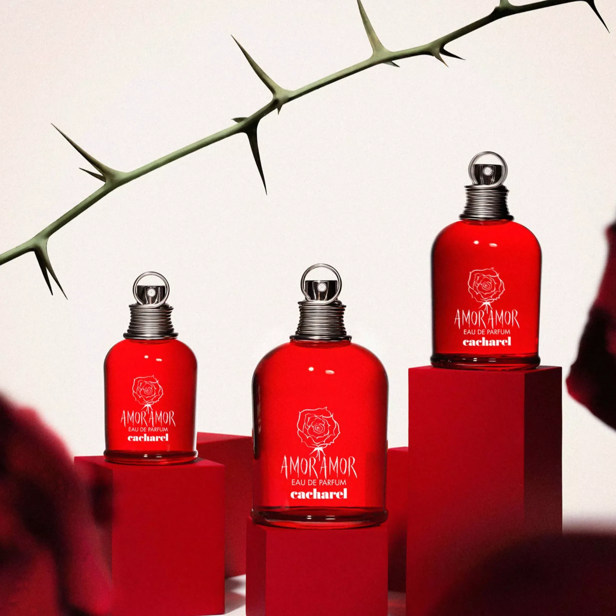 CacharelAmor Amor Eau De Parfume 100 ml