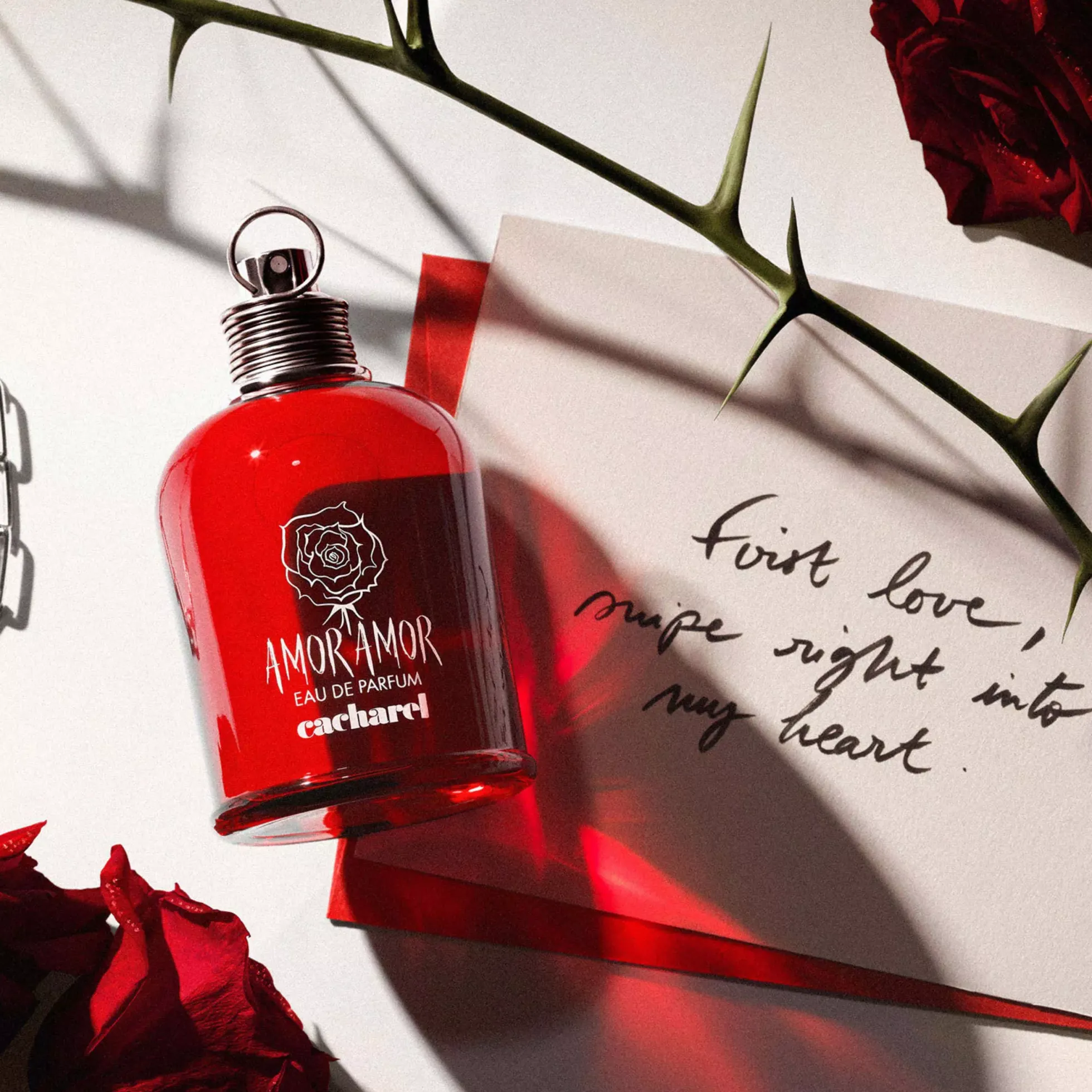 CacharelAmor Amor Eau De Parfume 100 ml