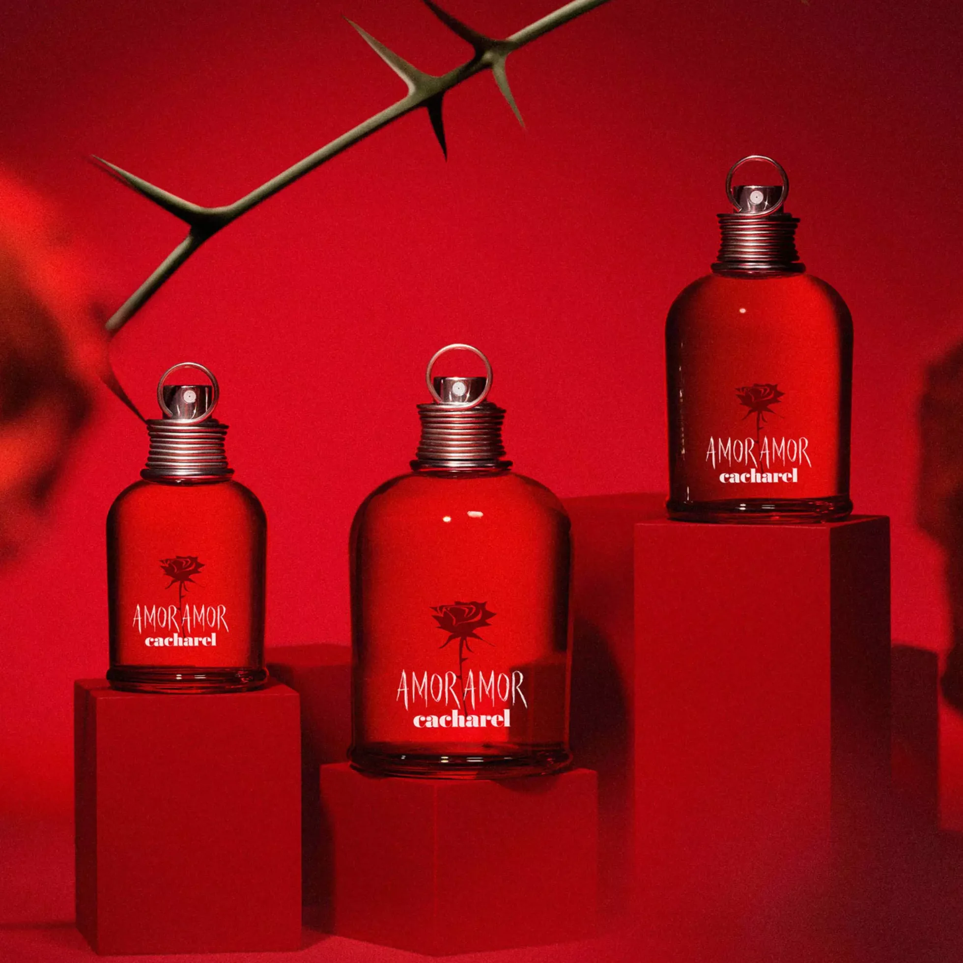 CacharelAmor Amor Eau de Toilette 100 ml