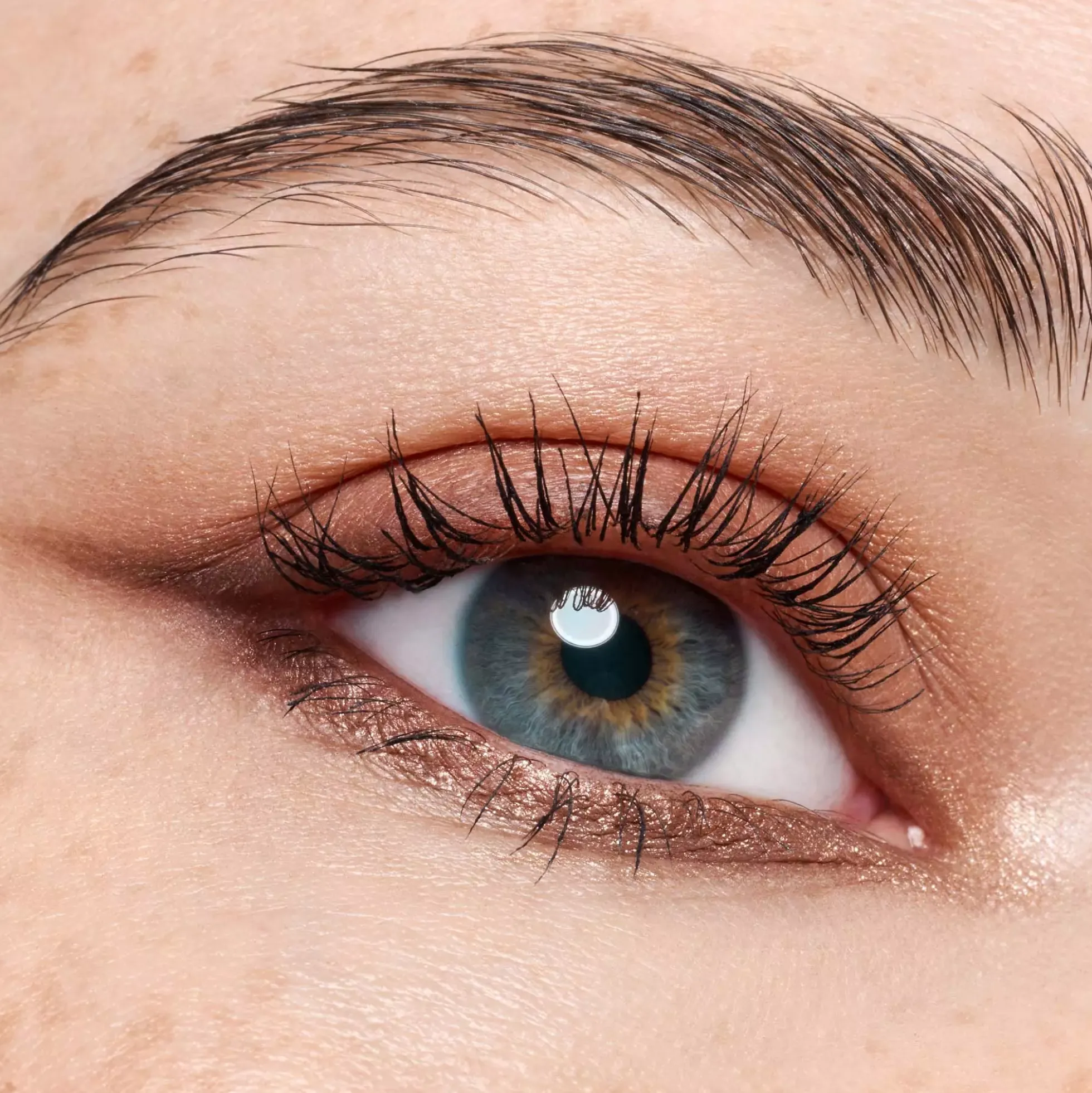 Catrice The Dark Cocoa Eyeshadow Palette