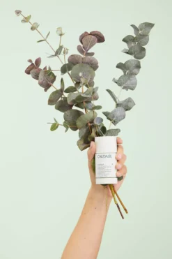CaudalieVinofresh Natural Stick Deodorant 50 g
