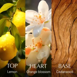 Chanson D'eau Lemon Eau de Toilette 100 ml