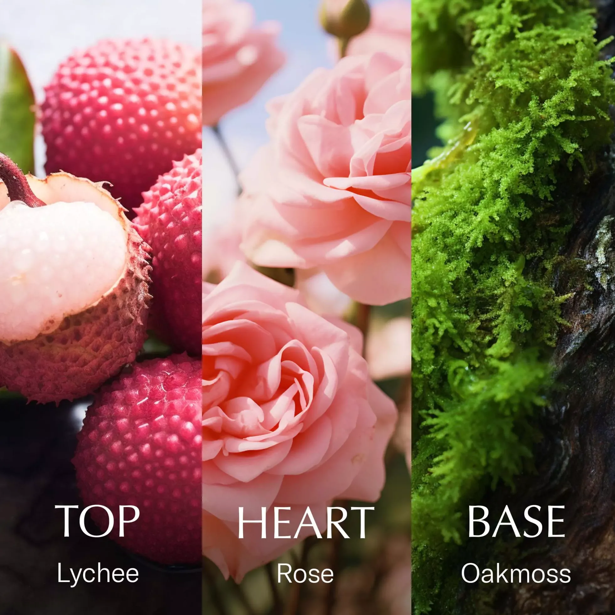 Chanson D'eau Rose Eau de Toilette 100 ml