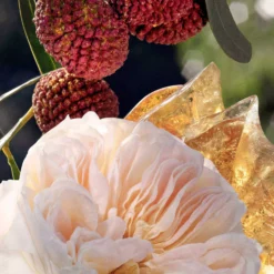 Chloé Eau de Parfum for Women 75 ml