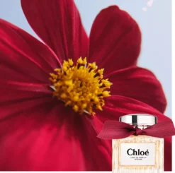 Chloé L'Eau De Parfum Intense Eau De Parfum 50 ml