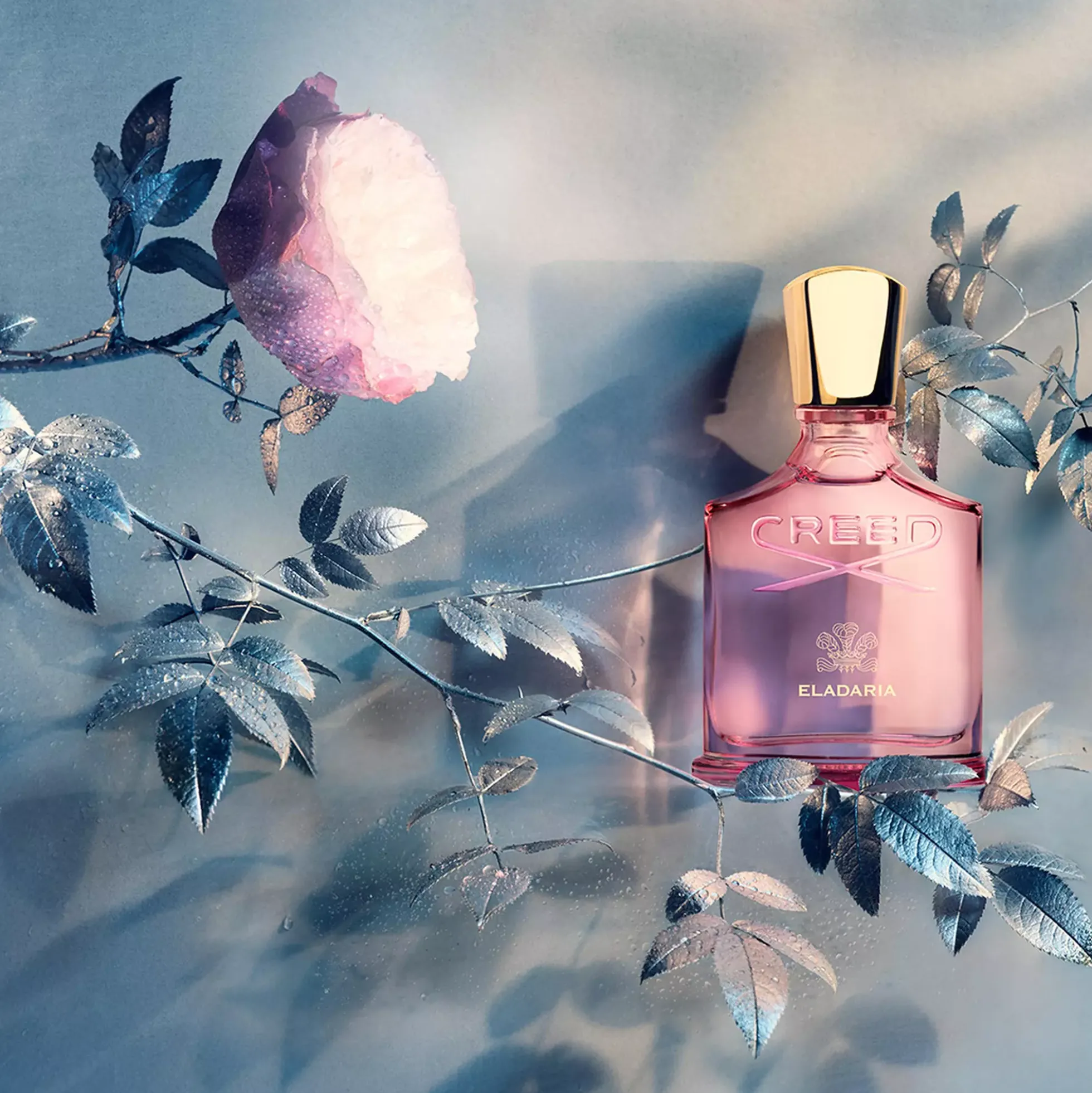 Creed Eladaria Eau de Parfum 30 ml