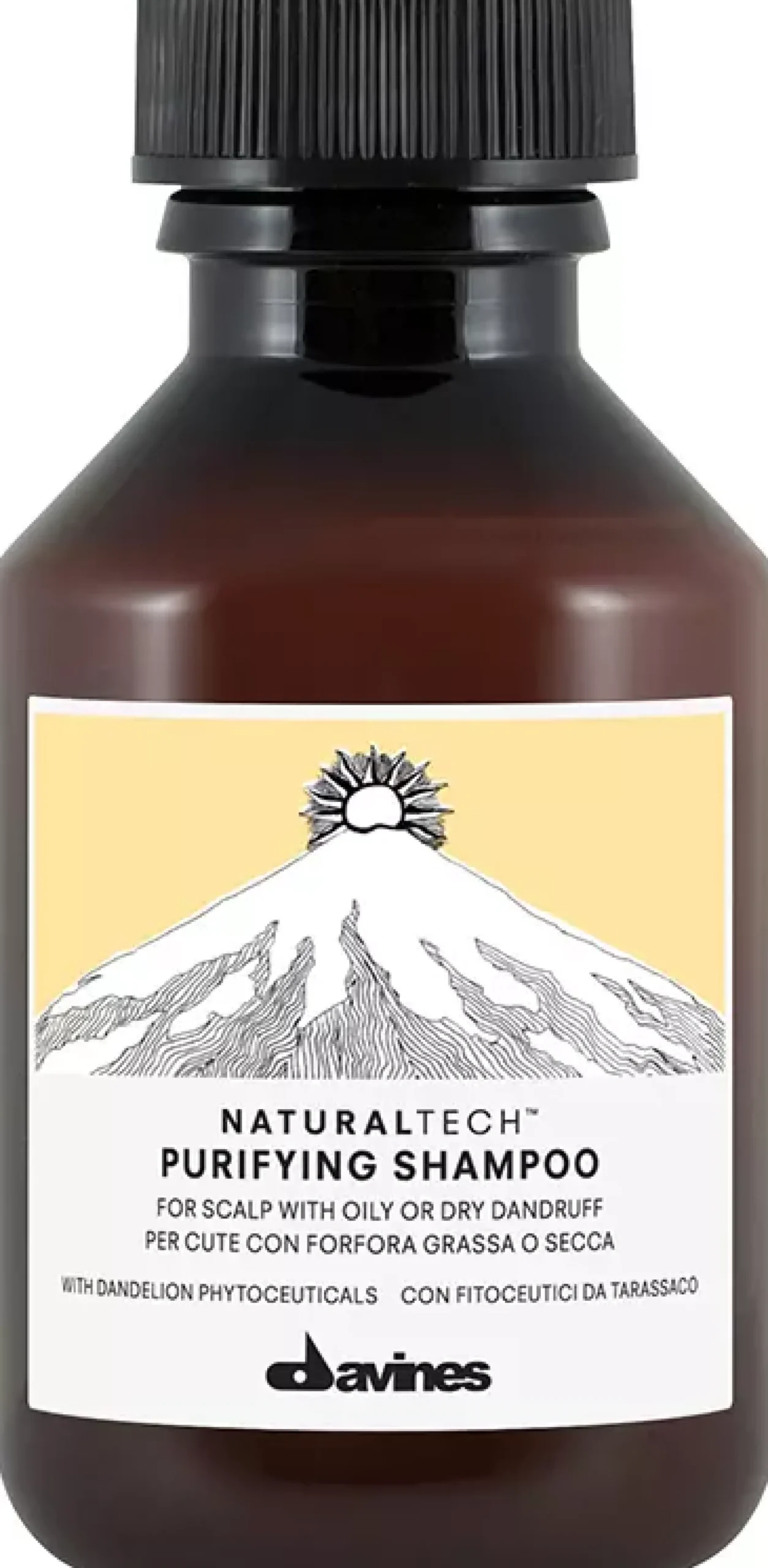 DavinesNaturaltech Purifying Shampoo 250 ml