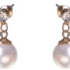 Dazzling Earring Col Clear Crystal On Stud W Hanging MOP Gold