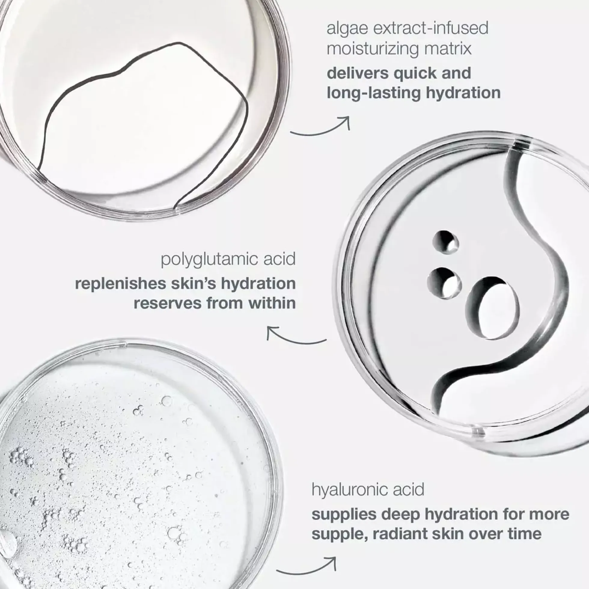 Dermalogica Circular Hydration Serum 59 ml