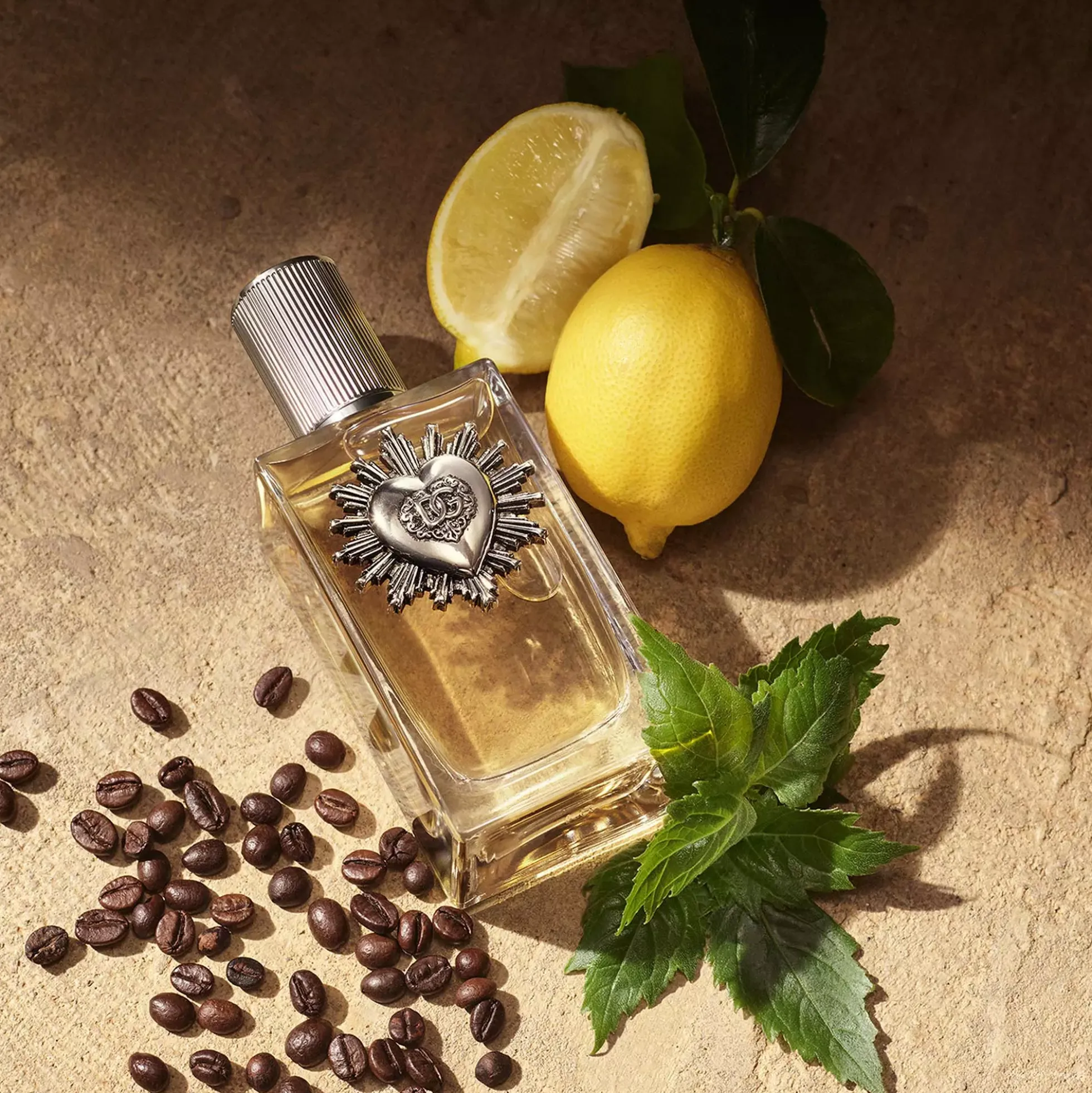 Dolce & Gabbana Devotion Pour Homme Eau de Parfum 50 ml