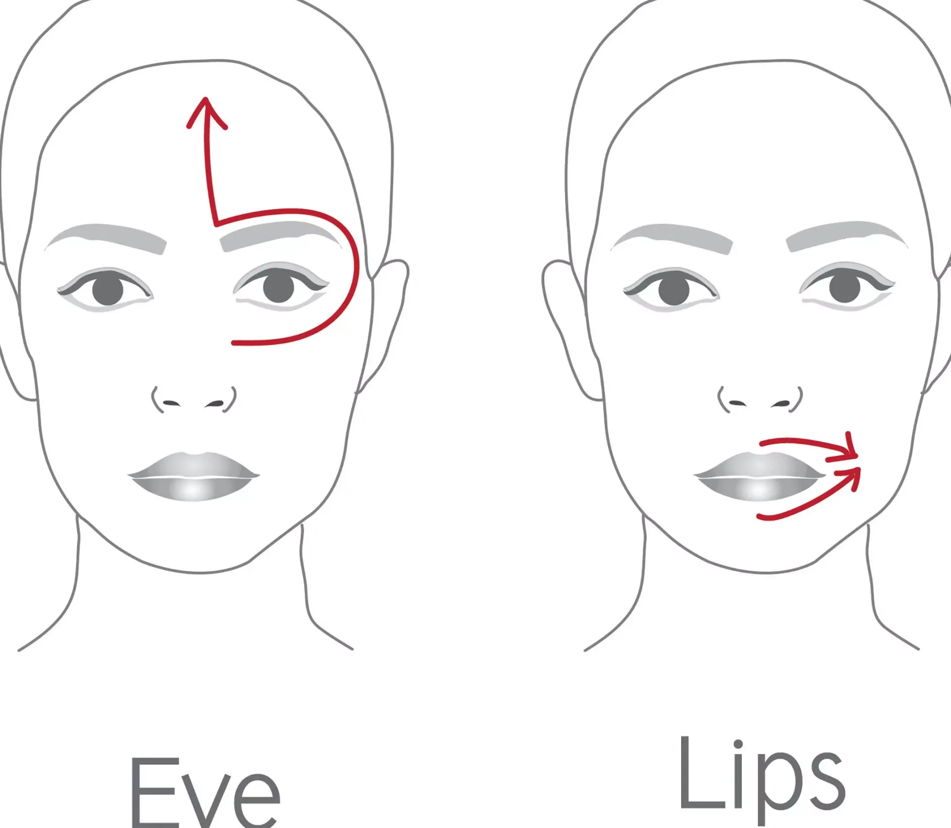 Dr. Levy The Contour Pro