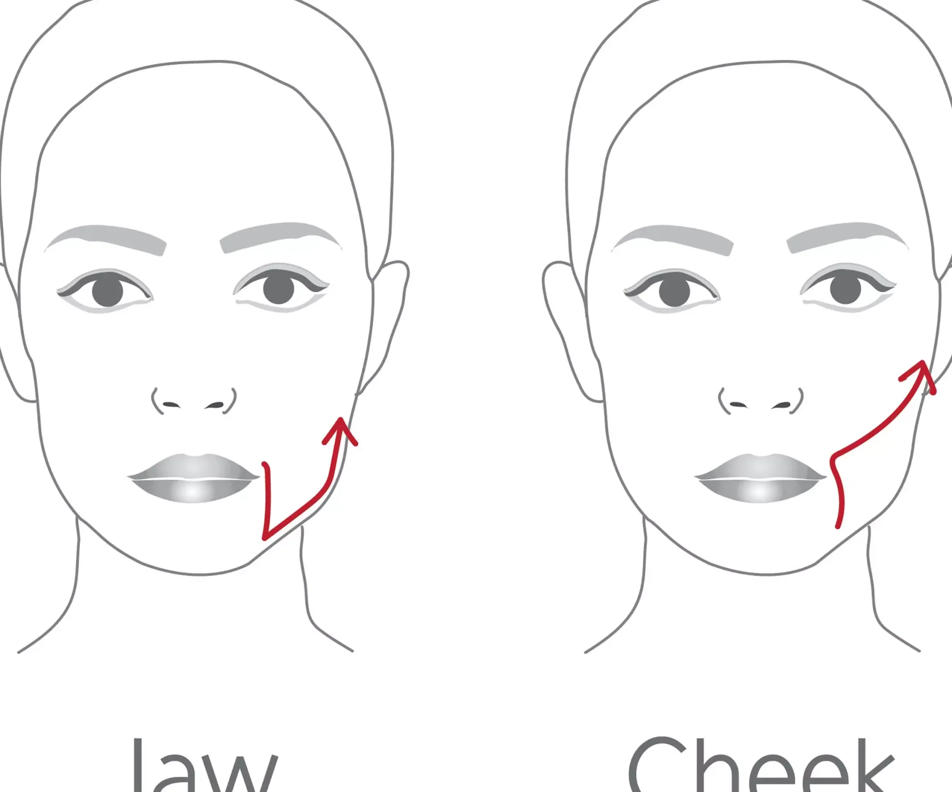 Dr. Levy The Contour Pro