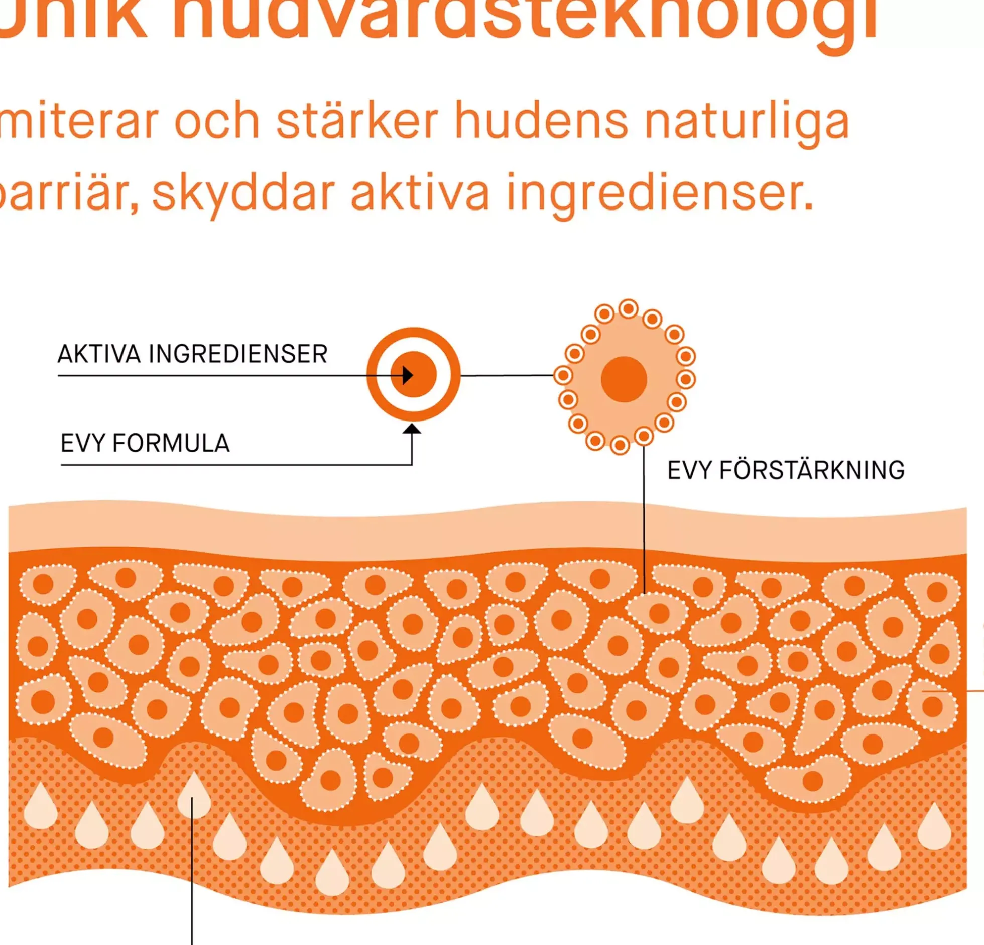 EVY Daily Defense Skin Cancer Awareness Face Mousse SPF 50 75 ml