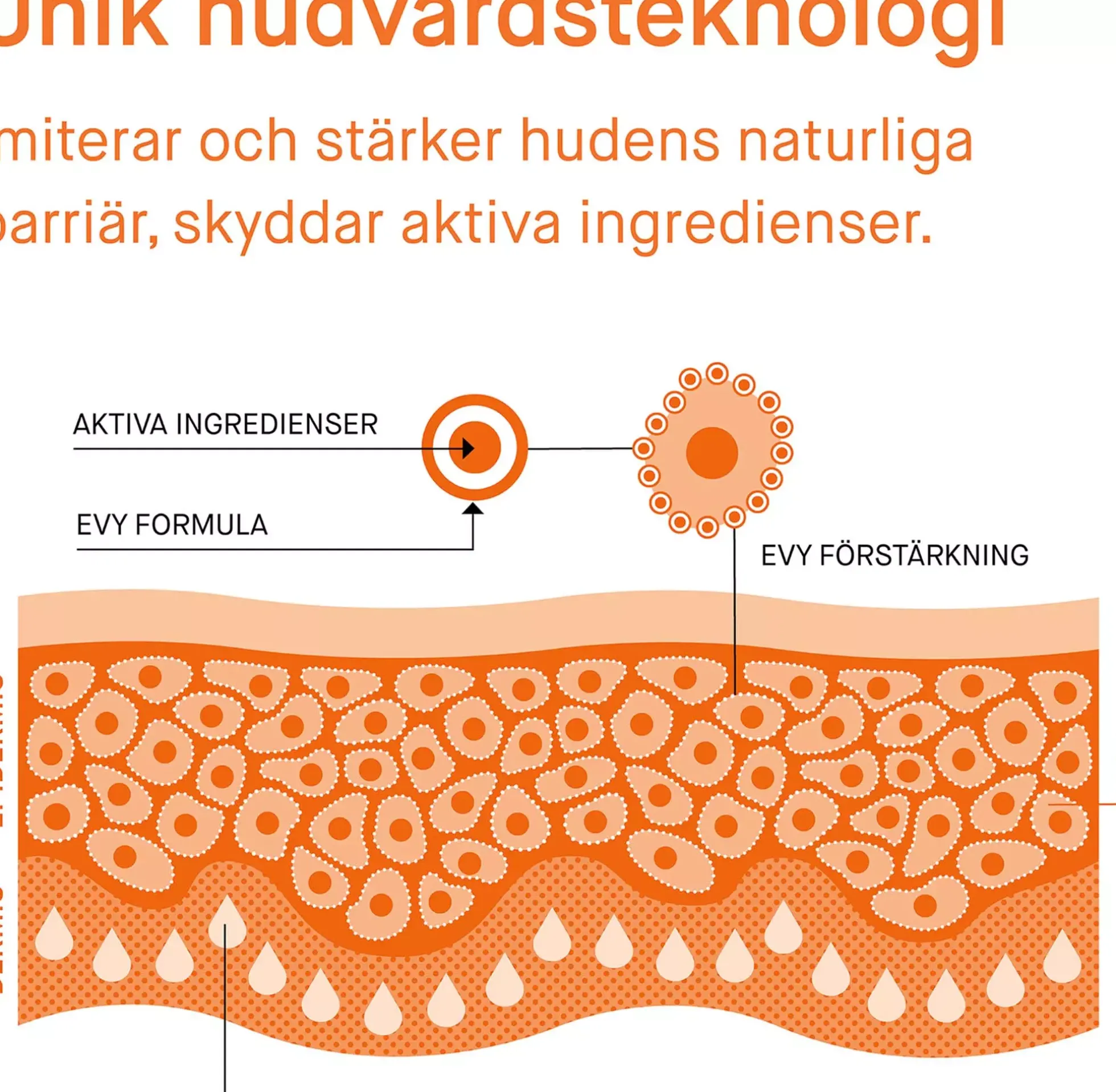 EVYRedefining skincare Renew Mousse 100 ml