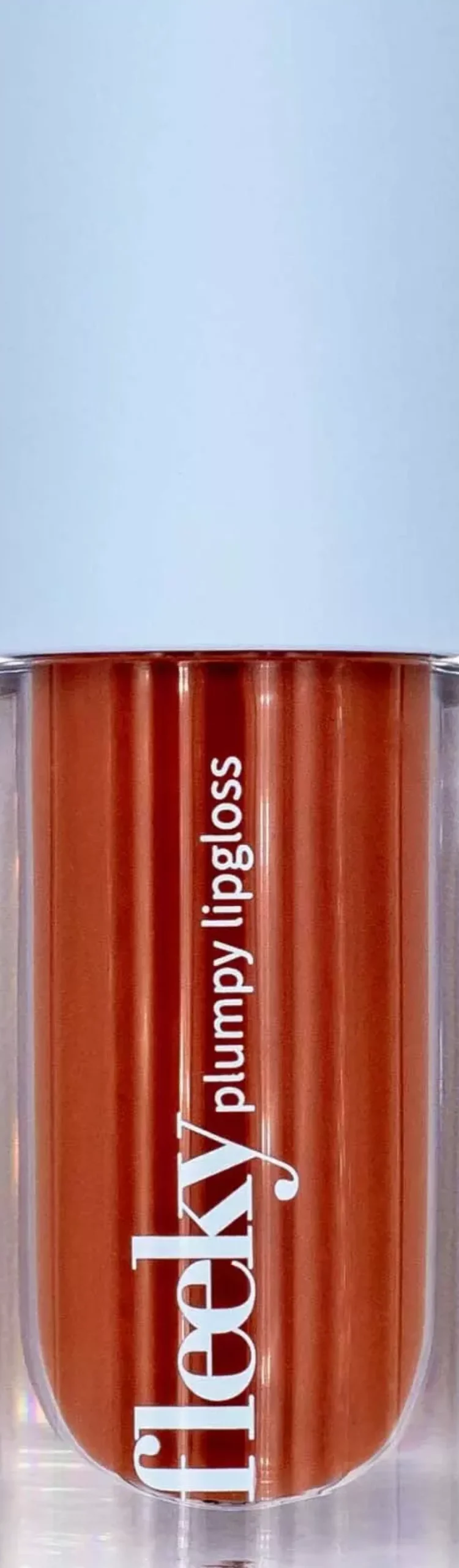Fleeky Plumpy Lip Gloss #2 Toffee Brown