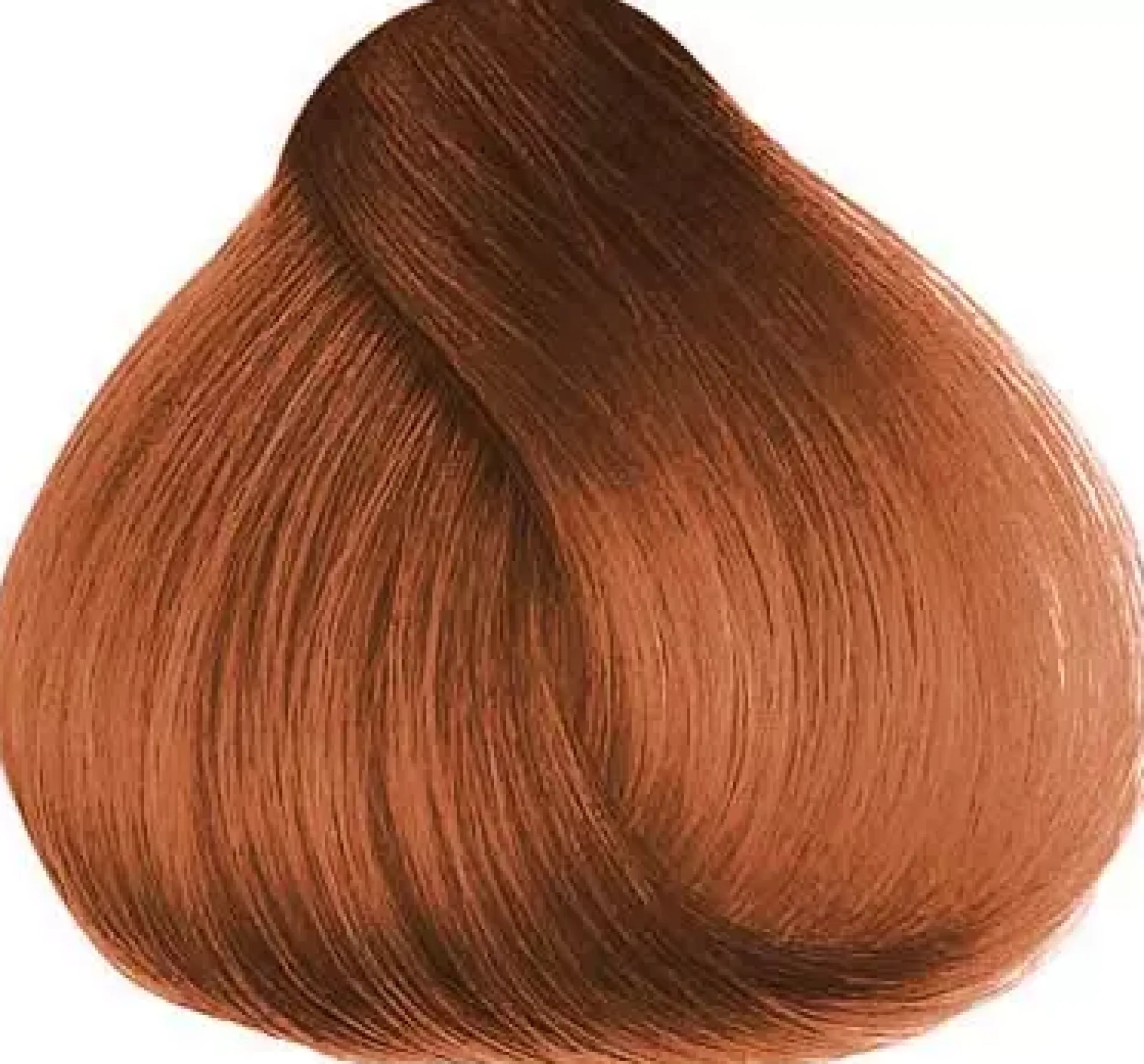 Herman´s Amazing Hair color Hailey Hazel Brown