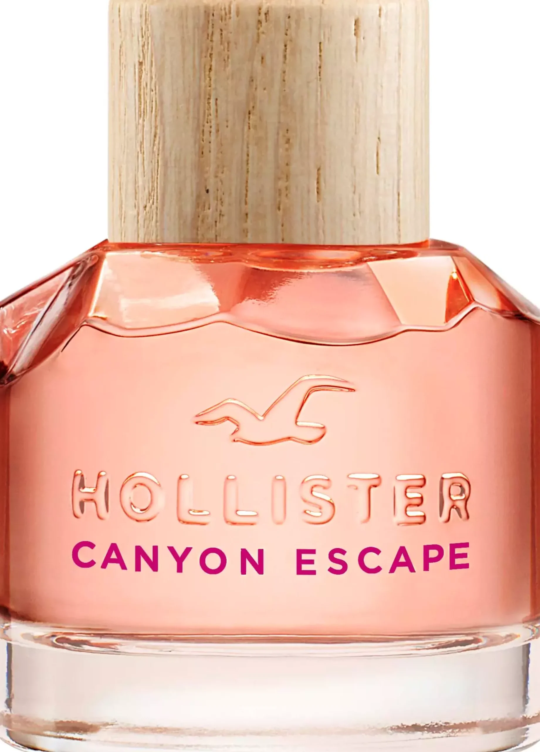 HollisterCanyon Escape For Her Eau de Parfum 100 ml