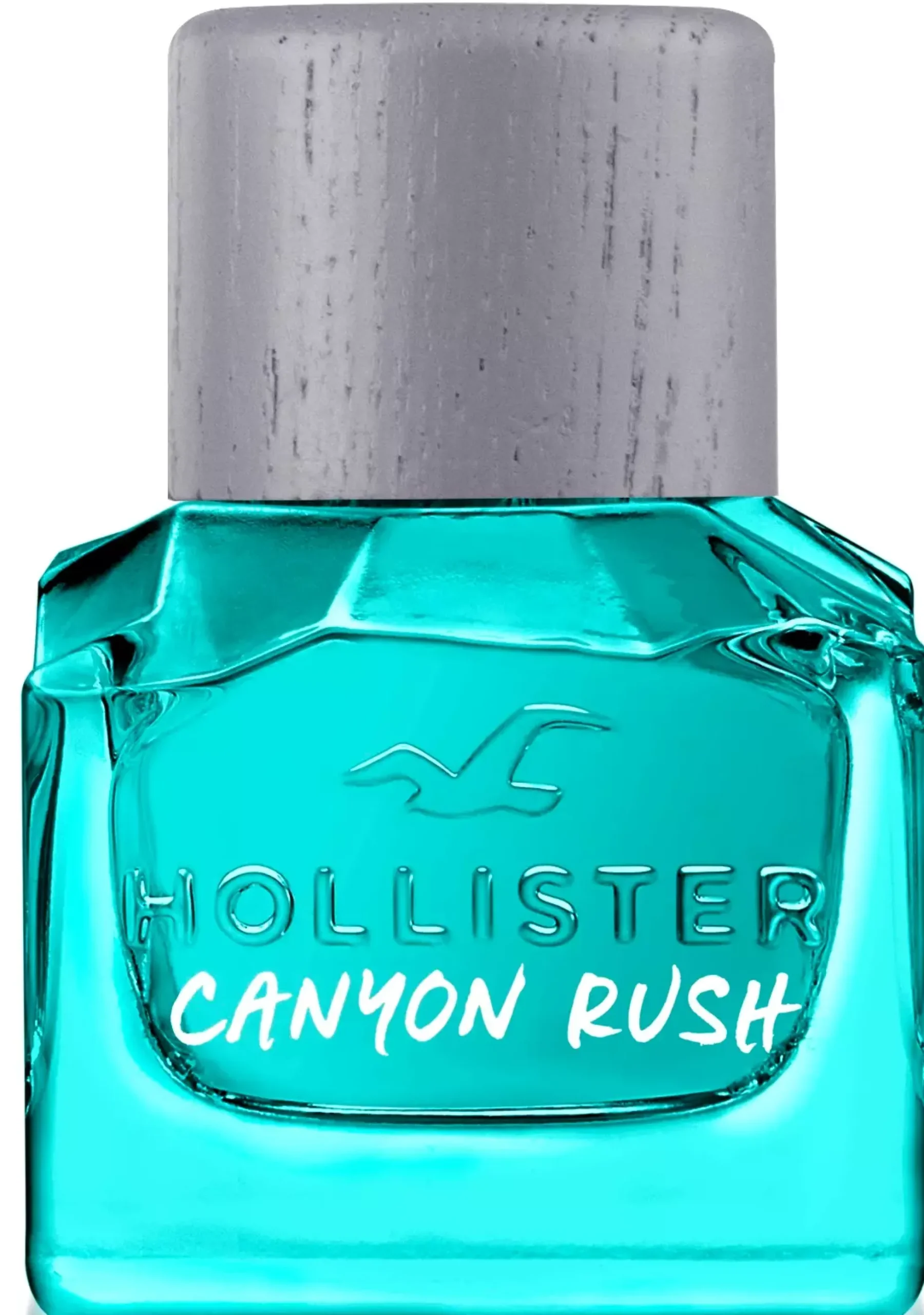 HollisterCanyon Rush Him Eau de Toilette 100 ml
