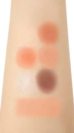 I'm Meme Color Pattern Palette 001 Coral Pattern