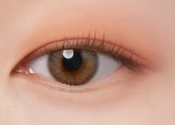 I'm Meme Color Pattern Palette 001 Coral Pattern
