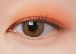 I'm Meme Color Pattern Palette 001 Coral Pattern