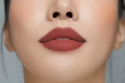 I'm Meme Lip Silhouette Matte Velvet Tint 06 Preppy Brick