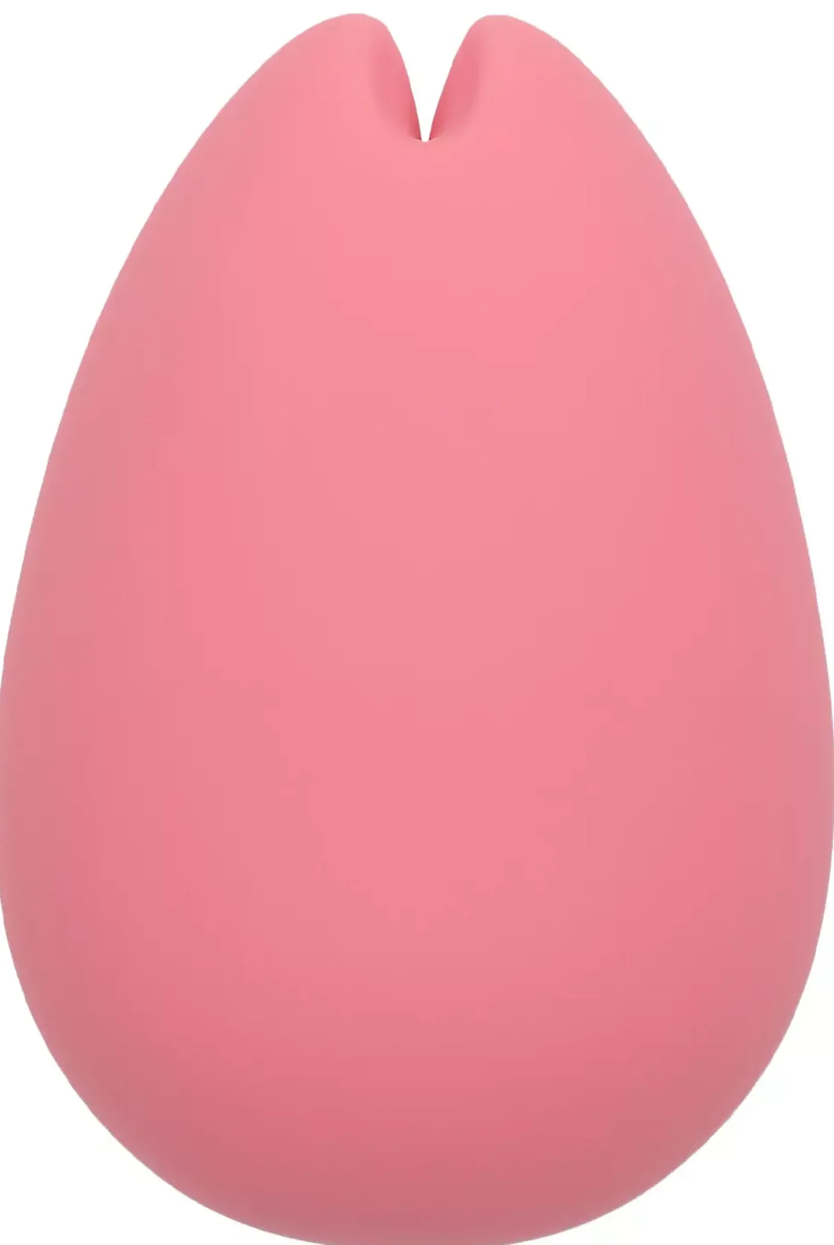 iroha SAKURA Nadeshiko Vibrator