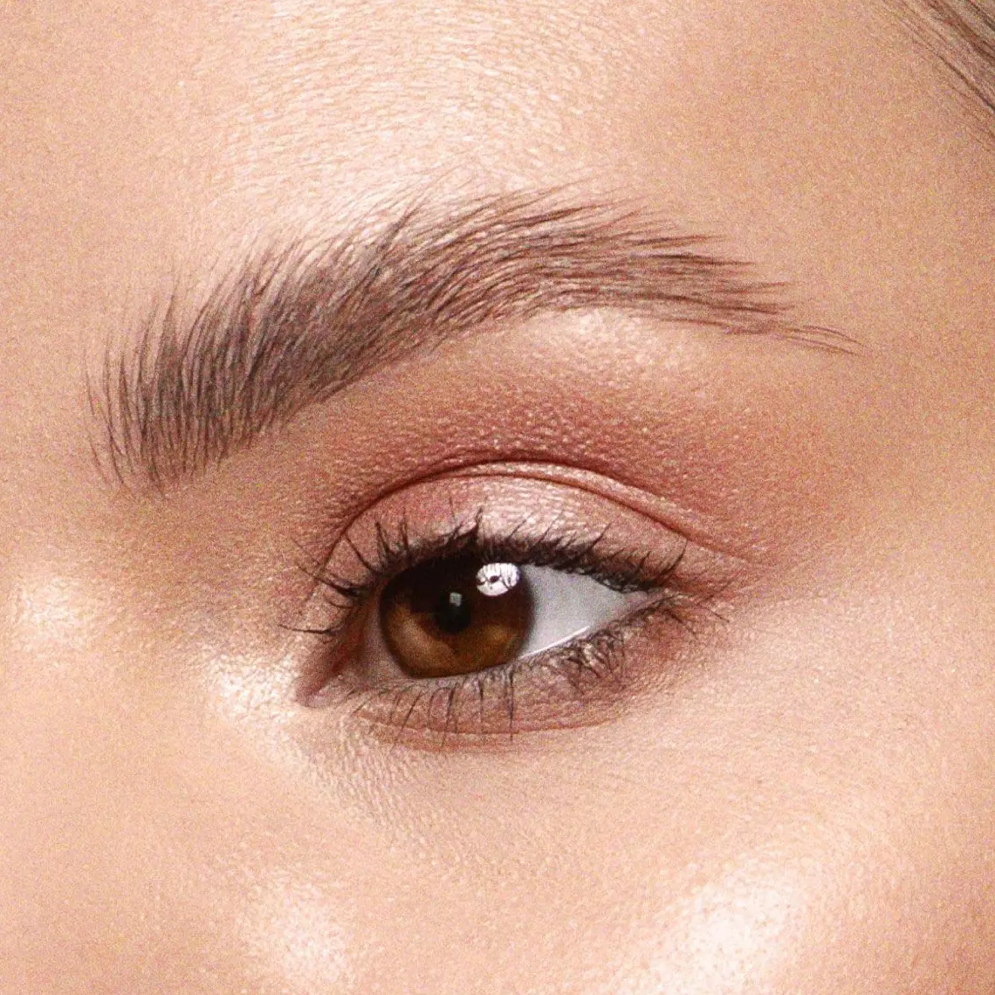 JASON WU BEAUTY Thick & Fluffy Light Brown