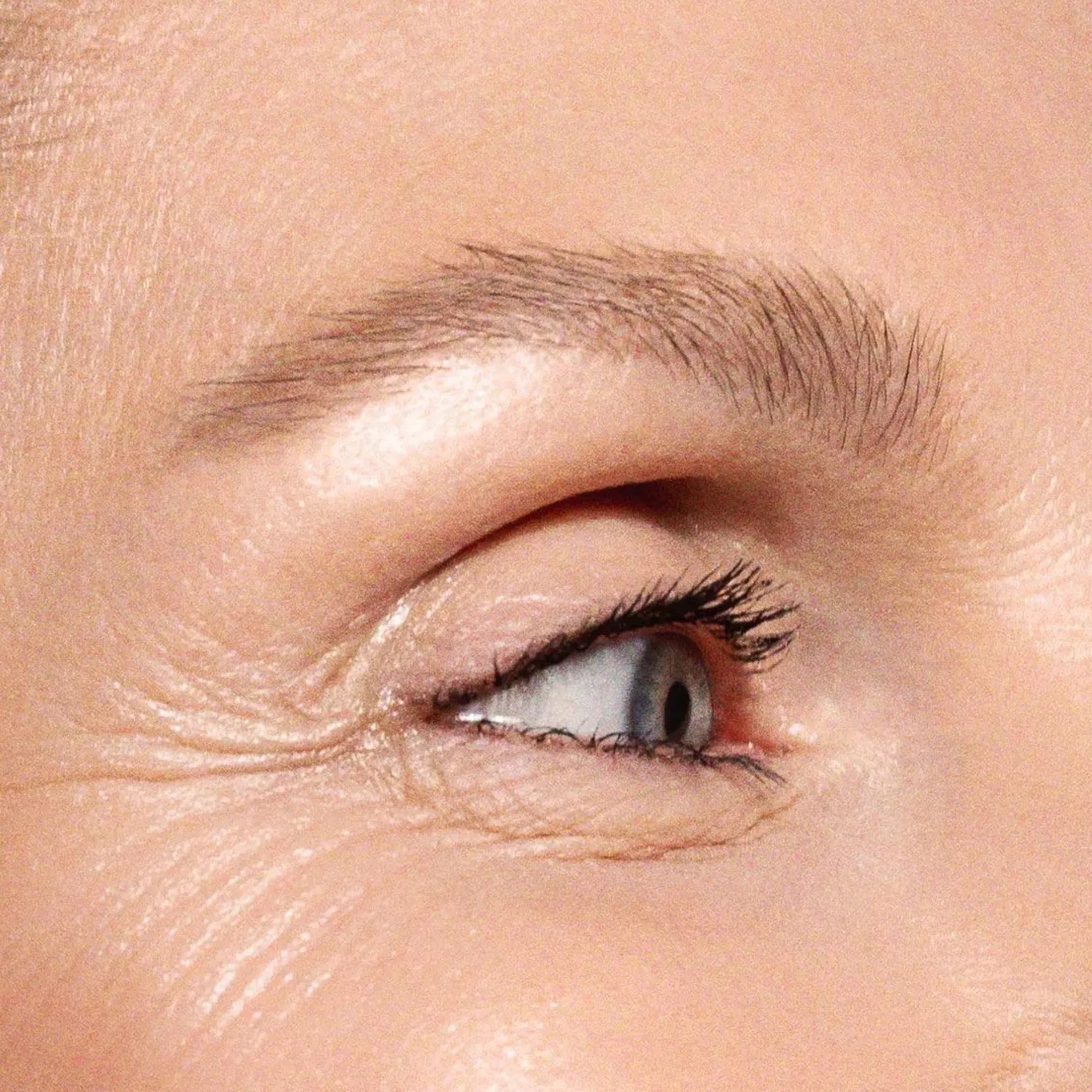 JASON WU BEAUTY Thick & Fluffy Light Brown