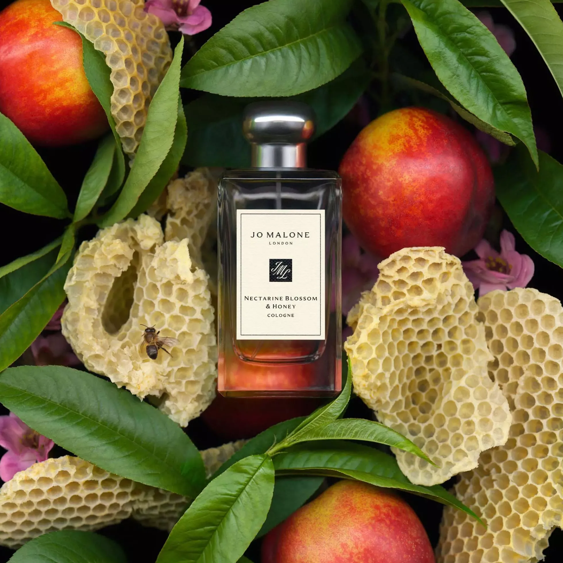 Jo Malone London Nectrarin Blossom & Honey Cologne Pre-Pack 30 ml