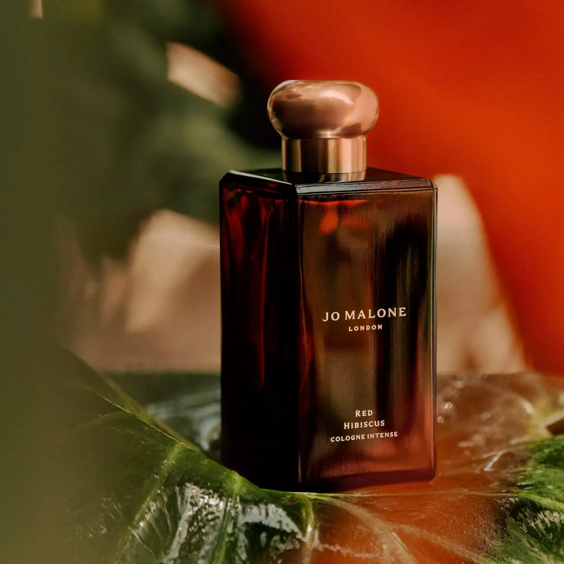 Jo Malone London Red Hibiscus Cologne Intense Pre-Pack 50 ml