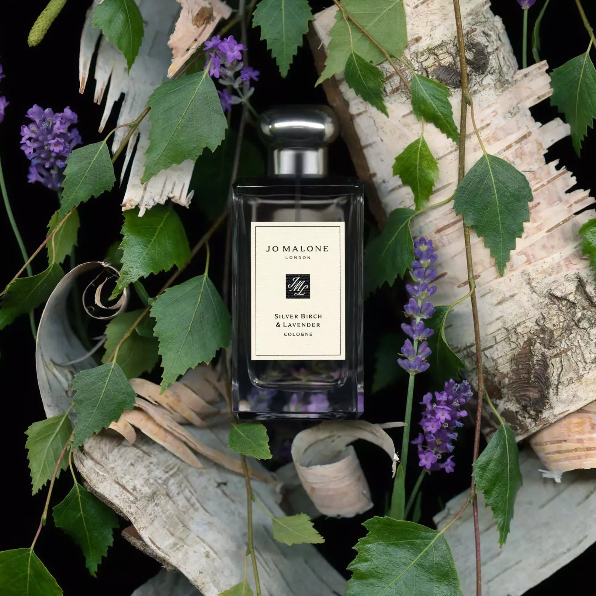 Jo Malone London Silver Birch & Lavender Cologne Pre-Pack 30 ml
