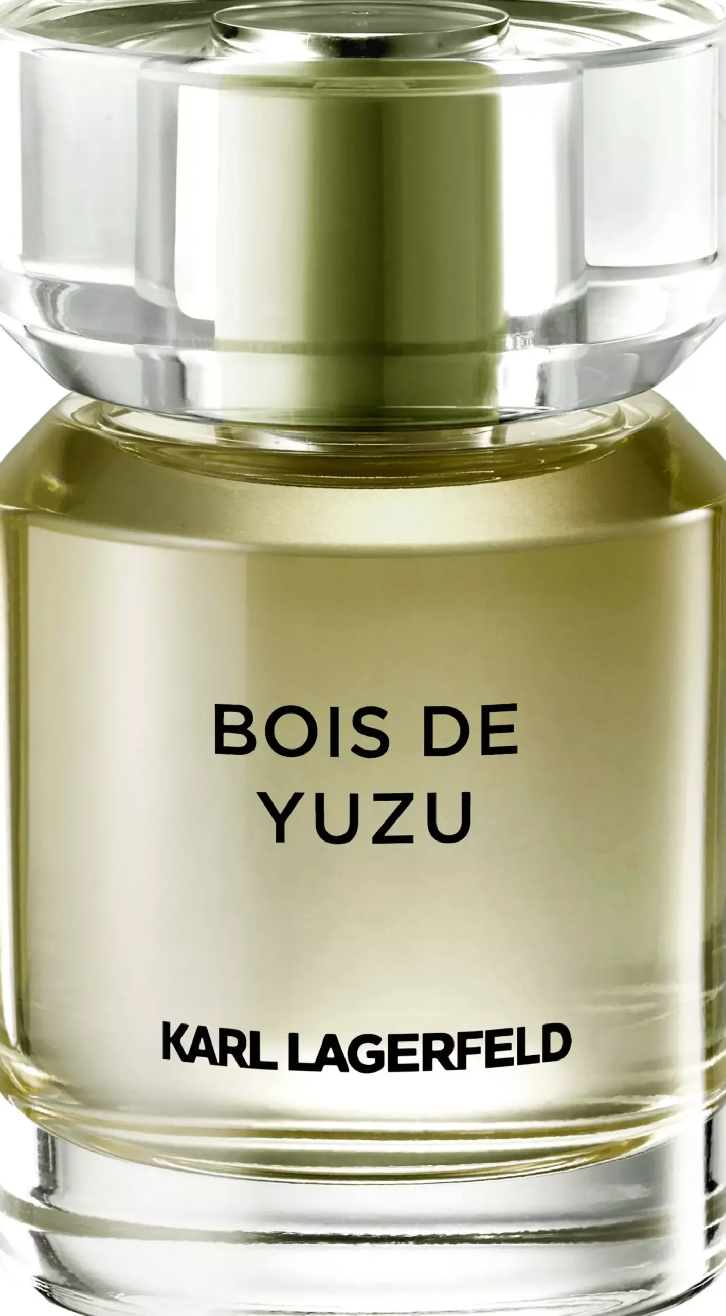 Karl Lagerfeld Bois De Yuzu Eau de Toilette 100 ml