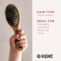 Kent Brushes Small Porcupine Brush