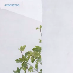 Korres Avgoustos Eau de Toilette 50 ml