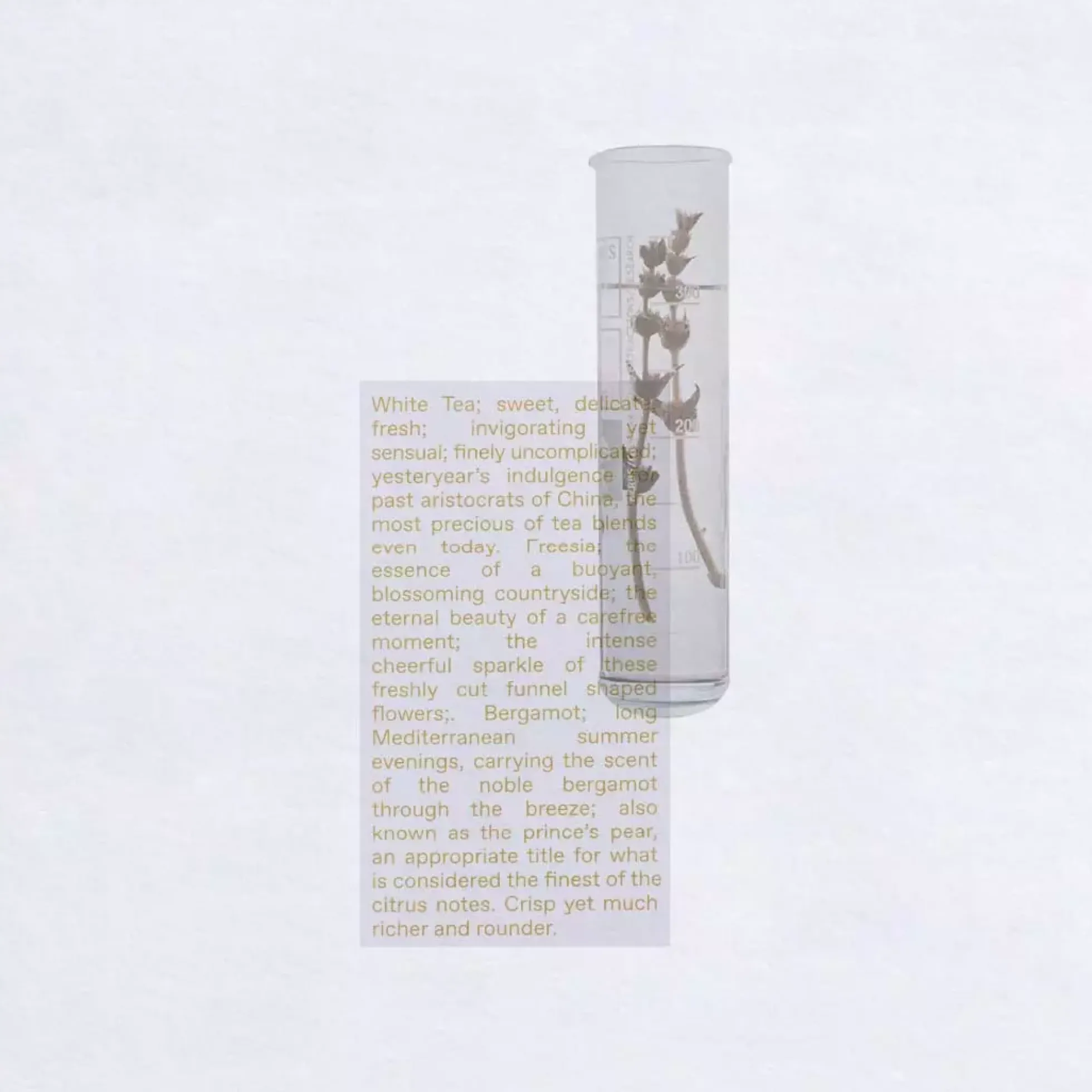 Korres White Tea Eau de Toilette 50 ml
