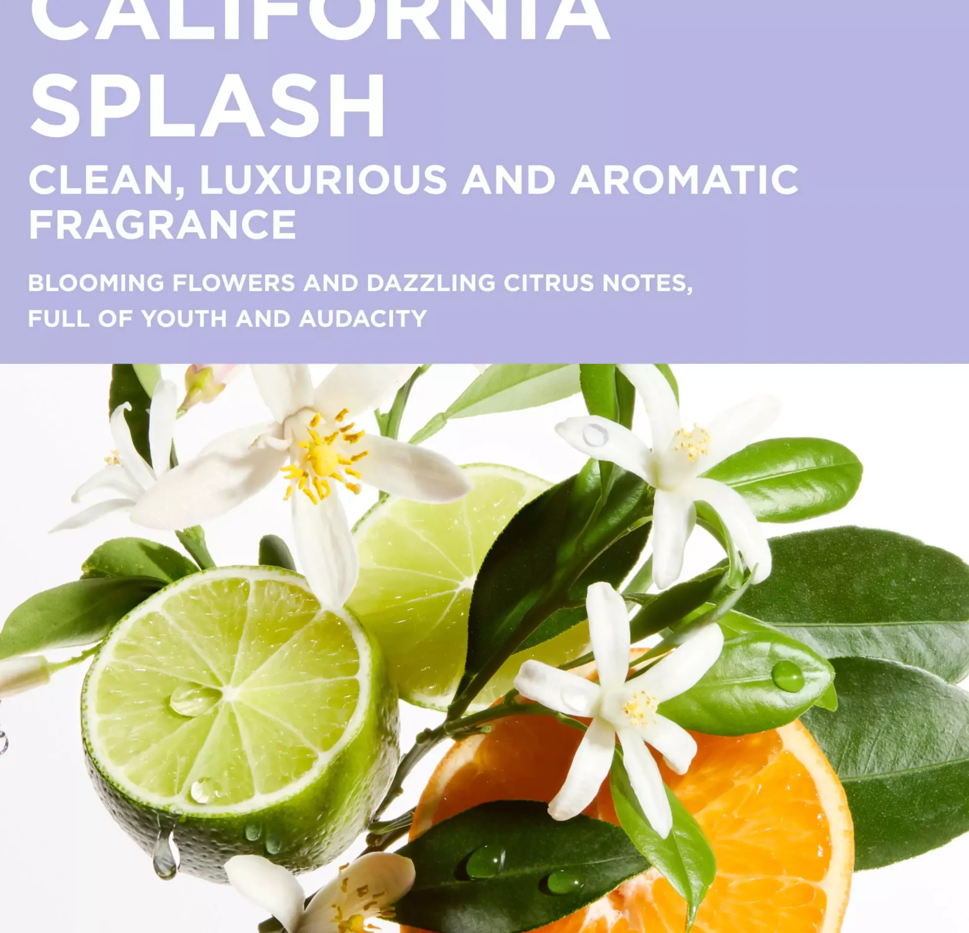 KérastaseBlond Absolu Bain Lumière Shampoo for lightened or highlighted hair 250 ml