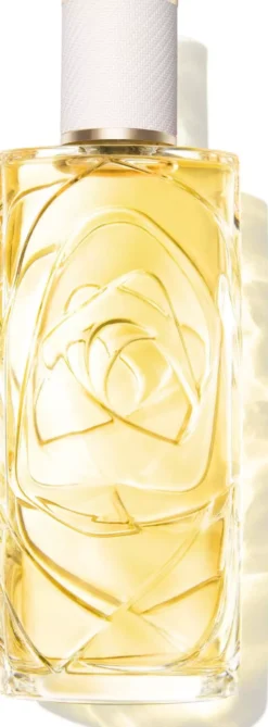 LancômeÔ Ô Zenith Eau de Toilette 100 ml