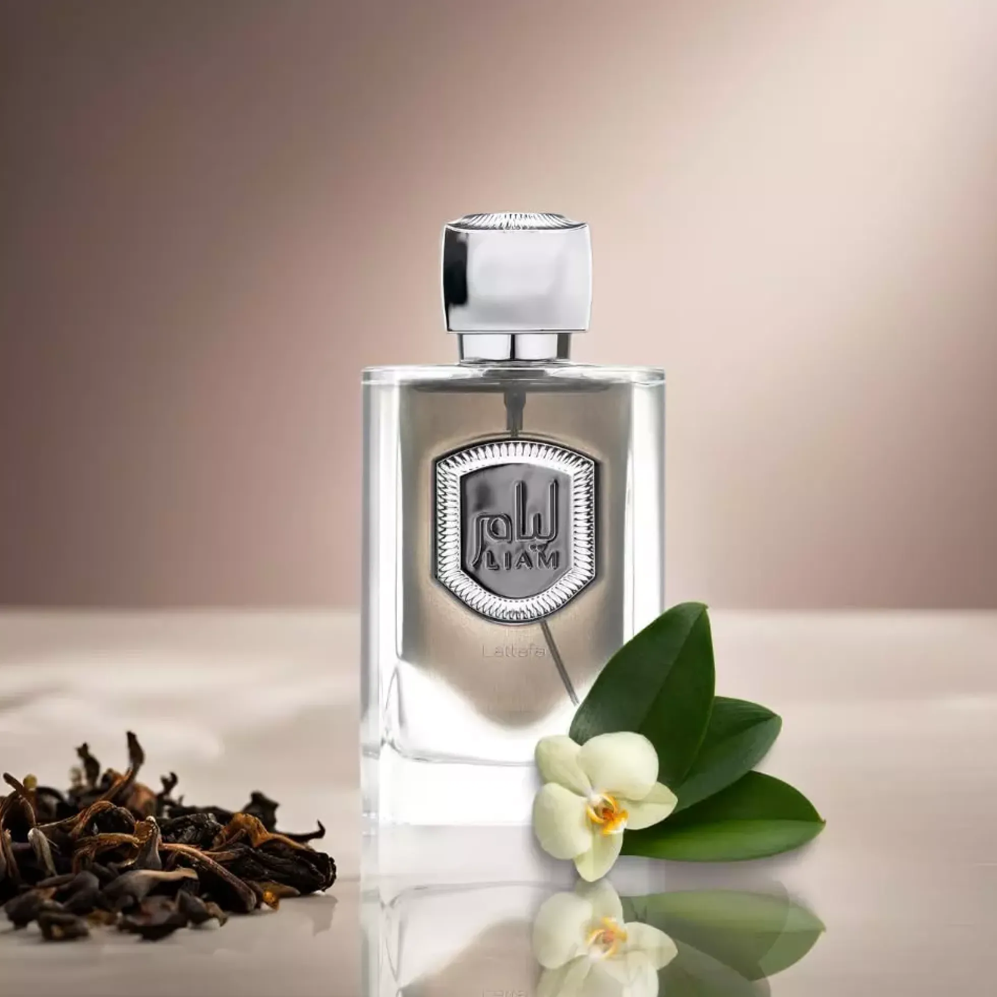 Lattafa Liam Grey Eau de Parfum 100 ml