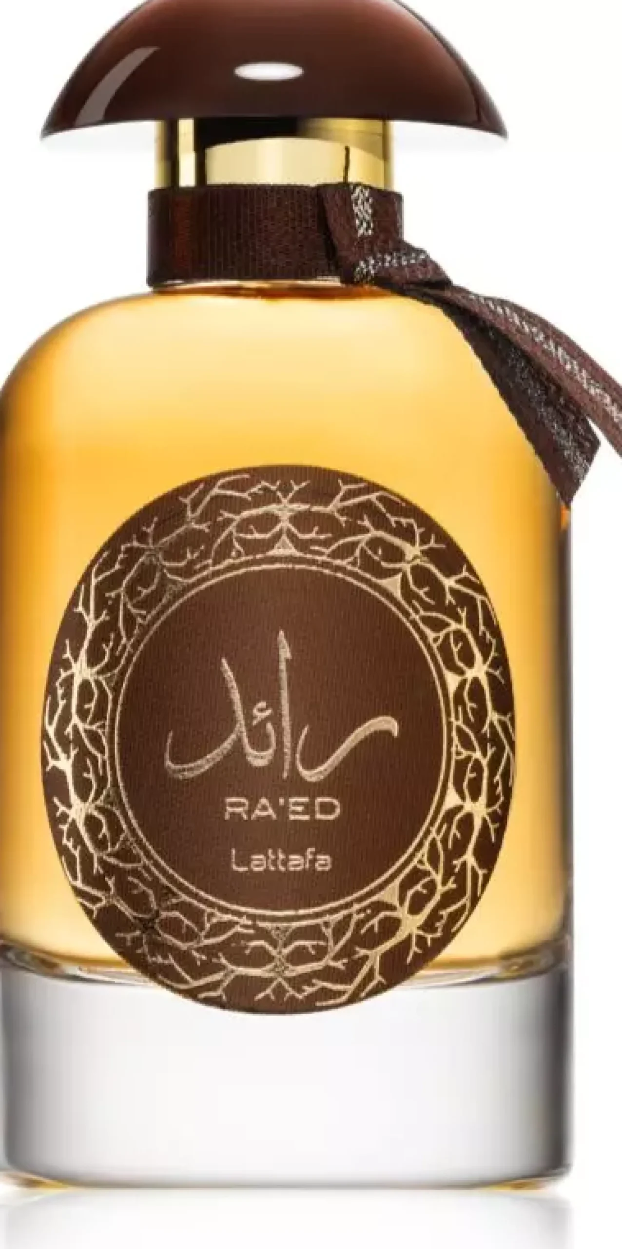Lattafa Raed Oud Eau de Parfum 100 ml